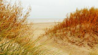 Meeresrauschen mit Möwen an der Nordsee - 5 Stunden Meeresrauschen am stürmischen Meer