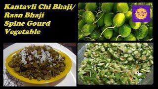 Kantoli Chi Bhaji | कंटोली ची भाजी |राणा तील भाजी | Spine Gourd Vegetable | Raan Bhaji