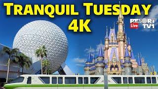 4K Live: Tranquil Tuesday - Monorail Park Hopping - Magic Kingdom & Epcot - Walt Disney World