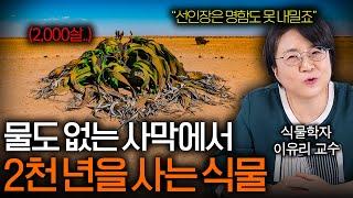 환경이 식물을 절대 이길 수 없는 이유(어마어마한 생존력..)