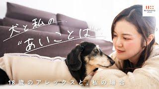 当たり前の毎日が大切。シニア犬とのルーティン【犬との暮らし】02：ペトコト OMUSUBI事業責任者 井島さんご家族（ダックスフンド/老犬/犬のいる生活）