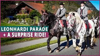 Equestrian Goes to a Leonhardi [Traditional Bavarian Parade with Horses!]