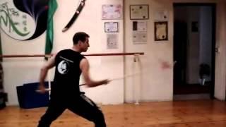 CHOW GAR MANTIS ITALIAN ACADEMY - Ying Cheung Section Form