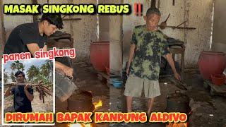 Bapak kandungku panen singkong ‼️ Masak singkong rebus hasil kebun sendiri