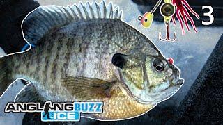 Ice Fishing Panfish – AnglingBuzz ICE