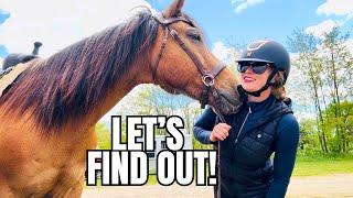 Will Dodger Be Trouble On The Trail?