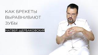 Как брекеты выравнивают зубы