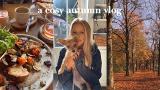 the cosiest autumn days & a chat about feeling lost in your 20s | vlog