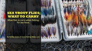 Sea Trout Fishing Flies; What Flies to Carry by Steffan Jones