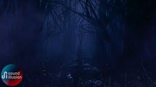 Spend The Night In A Haunted Forest | Sleep Ambience