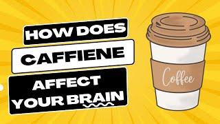 How does coffee impact the brain?