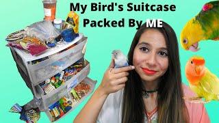 Tour ALL my Bird Supplies for my 11 Parrots! | Products for Birds