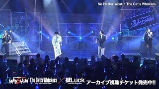 【LIVEダイジェスト】The Cat's Whiskers × 獄Luck｜11/17開催「Paradox Live 2MAN SHOW」