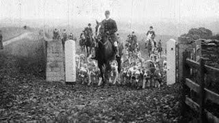 Fox Hunt (1914)