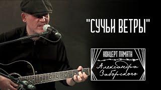 "Сучьи ветры" (из концерта памяти Александра Заборского) | Аркадий Сержич