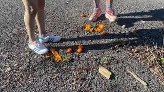 Hot girls tramping food crushing stomping sneakers