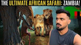 Zambia’s Wildest Safari & Jungle Life in Africa! 