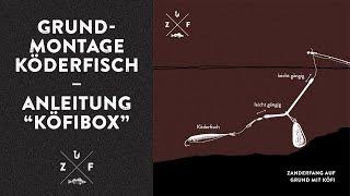 Mit Köderfisch am Grund auf Zander angeln - Montage-Anleitung zur KÖFIBOX von ZANDERFANG