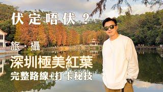 【深圳紅葉】  | 國家4A旅遊景區仙湖植物園 | 洪湖公園 | 完整路線+打卡秘技 | 落羽杉 | 深圳好去處2024｜深圳半日遊｜蓮塘口岸｜深圳景點｜深圳煲仔飯｜深圳打卡點