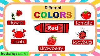 Learn the different colors | Video tutorial for kids