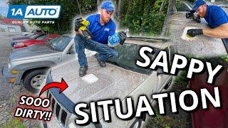 Tree Sweat, Pitch, and Sap All Over Your Car or Truck? Finding Out the Best Cleaner to Remove It!