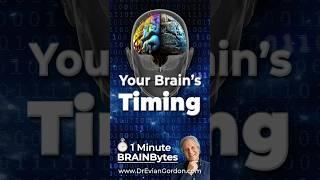 Your Brain’s Timing - 1 Minute Brain Bytes - Dr Evian Gordon