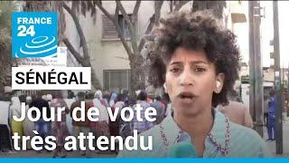 Jour de vote très attendu au Sénégal pour la présidentielle • FRANCE 24