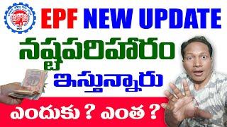 EPF new Update on EPF EPS EDLI 2024 || EPF Latest Update in Telugu