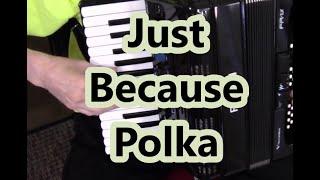 Roland Accordion, Just Because Polka, Dale Mathis Accordion