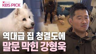 [#개는훌륭하다] 강훈련사 충격! 집 전체가 강아지 화장실?! 위기의 7남매네｜KBS 240122 방송