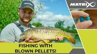 BLOWN PELLET FISHING with Aidan Mansfield