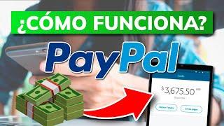 ️ CÓMO FUNCIONA PAYPAL 2024 (Tutorial en Español)