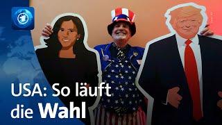 USA: So läuft die Wahl zwischen Trump und Harris | ARD-Wahlexperte Jörg Schönenborn berichtet