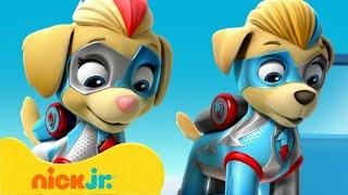 PAW Patrol | PAW Patrol Mighty Pups - Die besten Rettungsmissionen! | Nick Jr. Deutschland