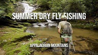 Summer Dry Fly Fishing Appalachian Small Streams