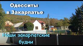 Еще один чудесный день в Закарпатье. Больше никогда не буду ВАРИТЬ каштаны!