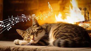 20 Hours Cat Purring & Piano  Relax with Fireplace  ASMR Relaxing