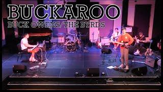 Buckaroo - Chris Larcombe (Live)