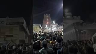 Tiruvannamalai Girivalam 2024 Today | Girivalam | Annamalayar Temple | Shorts | pournami today