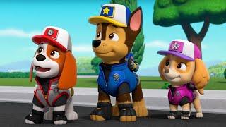 PAW Patrol - Repairing The Bridge | Season 9 Compilation | WildBrain Zoo | Cartoons for Kids