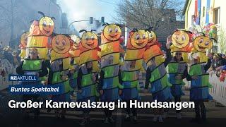 Großer Karnevalszug in Hundsangen