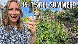 SUMMER ON THE ALLOTMENT PLOT / ALLOTMENT GARDENING