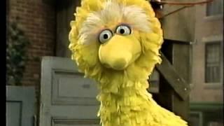 Classic Sesame Street - Big Bird The Grouch