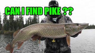 Pike Fishing in the North! | Which lures and when?