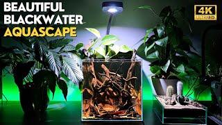 BLACKWATER AQUARIUM | Equipment Listed with Prices