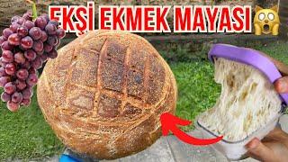 EKŞİ MAYALI EKMEKLERİNİZİ ÇEŞİT ÇEŞİT YAPABİLİRSİNİZ  (Üzümlü ekşi ekmek mayası nasıl yapılır?) 