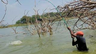 Big Fishes Catching in River|Big rohu fishes Catching by Single hook|Unbelievable fishing