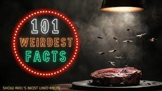 101 Weird Fun Facts That Will Make You Question Everything! | Weird But True Facts | Amazing Facts