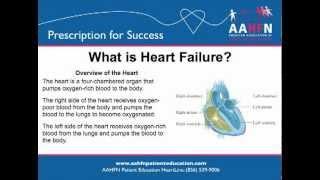 Heart Failure Patient Education