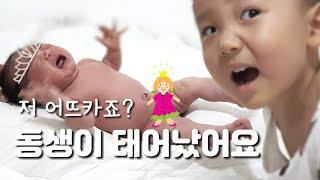 동생이 태어났어요| 남매육아| 키득주의|짤모음|써쥬봉봉|